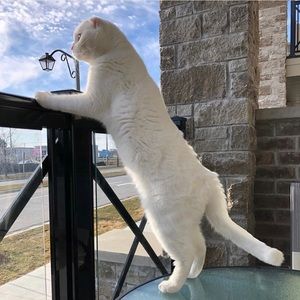 Meet your Posher, Mary